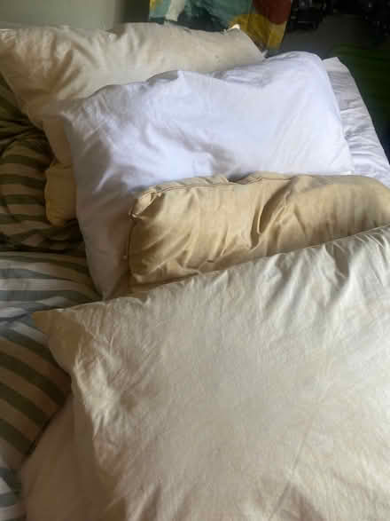Photo of free Feather & down pillows (Lewes BN7) #1