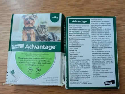 Photo of free Flea prevention and treatment (Wokingham RG41) #1