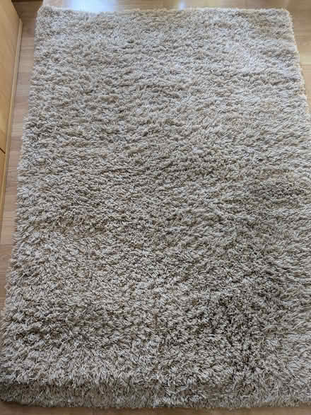 Photo of free Beige Shaggy Rug (Beulah Hill SE19) #1