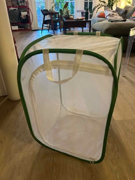 Photo of free Butterfly Tent (Atwater Village) #1
