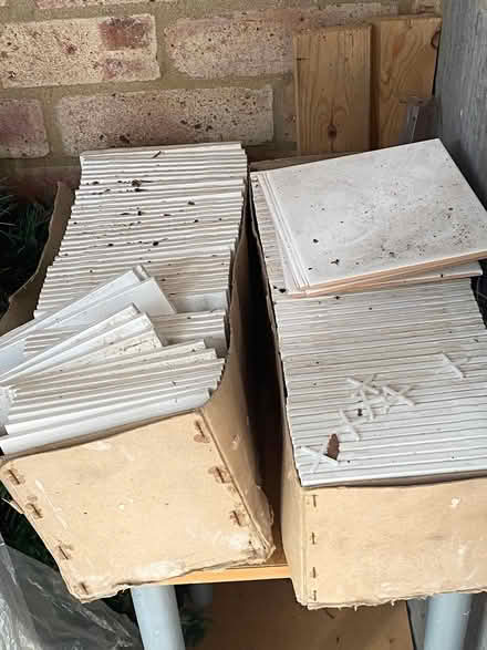 Photo of free tiles White (St Cross SO23) #1