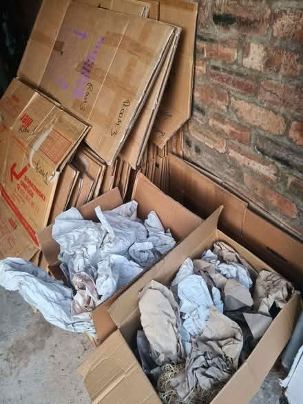Photo of free Cardboard boxes for packing, a lot (The Grange EH9) #1