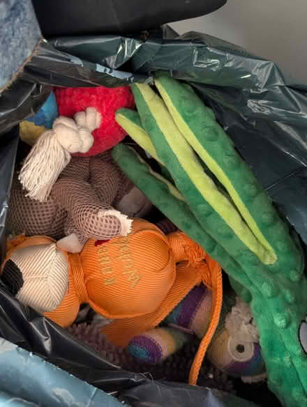 Photo of free Bag assorted dog toys (Headington OX3) #1