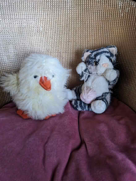 Photo of free 2 Vintage Soft Toys (Fairmilehead EH10) #1
