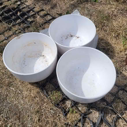 Photo of free 3 large catering bowls (Horsley GL6) #1