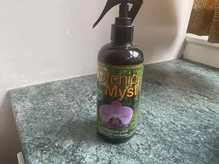 Photo of free Orchid plant spray (West Hill TN34) #1