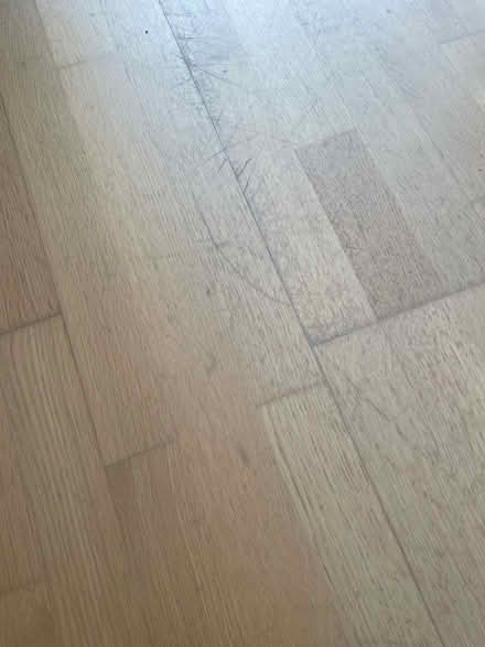 Photo of free Flooring (Potters bar EN6) #2