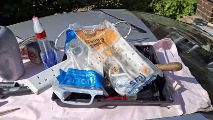 Photo of free A mixture as seen in Photos (Horsted Keynes RH17) #4