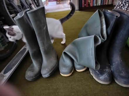 Photo of free Wellie Boots (High Shincliffe DH1) #1