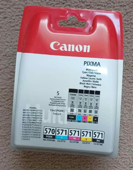 Photo of free Canon printer inks (St. Hilary TR20) #1