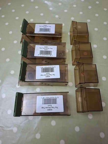 Photo of free Humane Mouse Traps (Twickenham TW2) #1