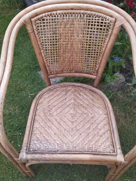 Photo of free Bamboo Chair (Foord CT19) #1