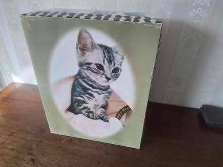 Photo of free Large Cardboard Box with Cat Photos (Pantymwyn CH7) #1