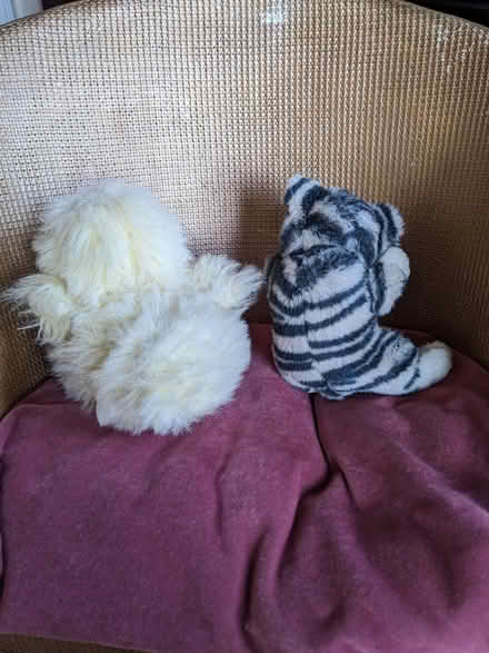 Photo of free 2 Vintage Soft Toys (Fairmilehead EH10) #2