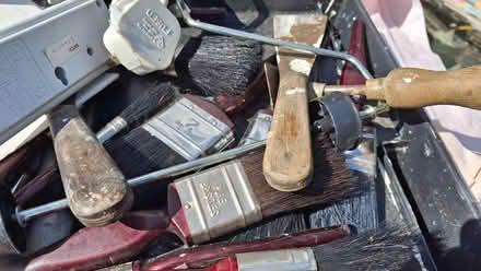 Photo of free A mixture as seen in Photos (Horsted Keynes RH17) #4