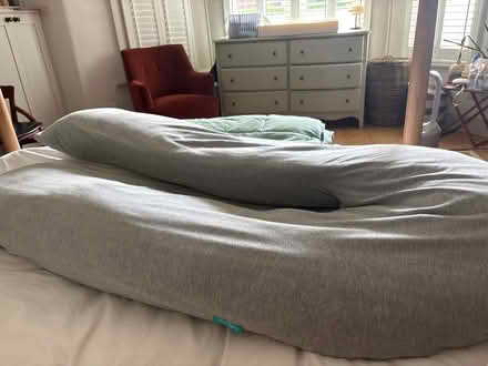 Photo of free Pregnancy Pillow (N6 4HP) #1