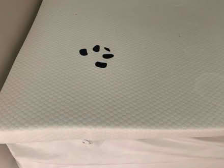 Photo of free King size panda bamboo mattress topper. (Forest Gate E7) #1