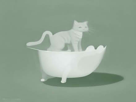 Photo of free Cat litter that is opened but not much used also pink cat ca (South Woodham Ferrers CM3) #1
