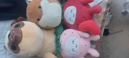 Photo of free Soft cuddly toys (Lower Weston BA1) #1