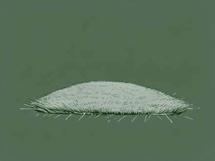 Photo of free Artificial grass (Middleton M24) #1