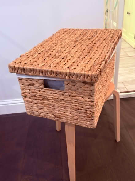 Photo of free Natural Material Basket with Liner (Pollard Rd & More Ave) #1
