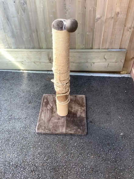 Photo of free Cat Scratching Post (Hampden Park BN22) #1