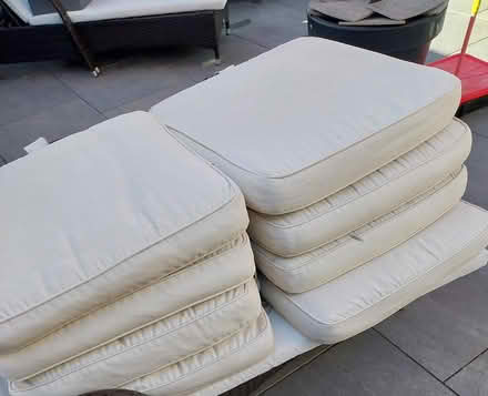 Photo of free 4 Cushions for garden chairs (Wickford Essex) #1