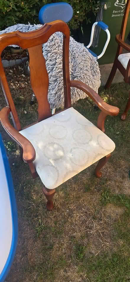 Photo of free 2 dining chairs (Drybrook GL17) #2