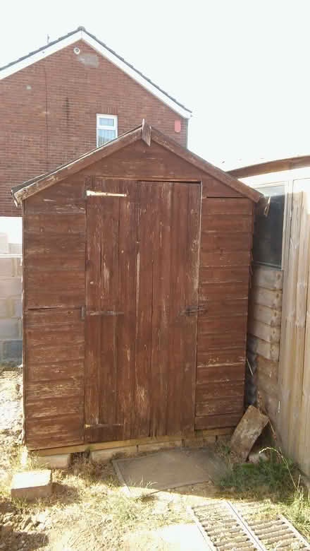 Photo of free 7ft by 5ft Shed (Old Walcot SN3) #3