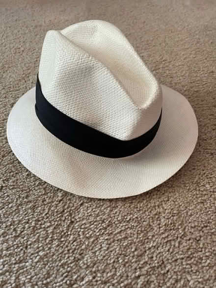Photo of free Panama Hat (Lucas Valley) #2