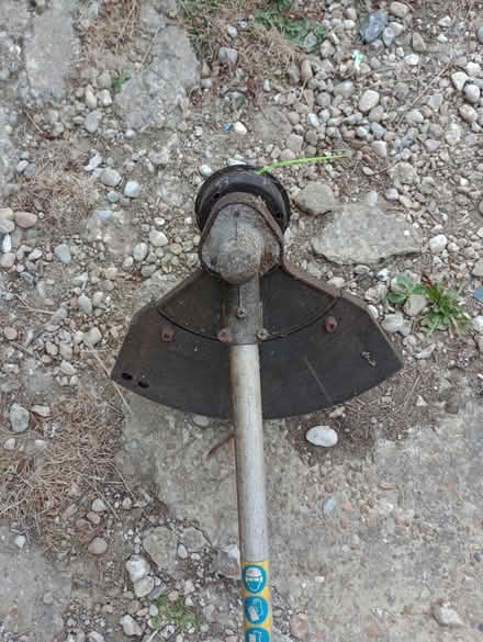Photo of free Petrol Strimmer (Hastings TN34) #3
