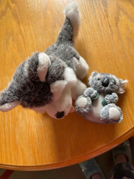Photo of free Soft toys (Stanton Harcourt OX29) #1