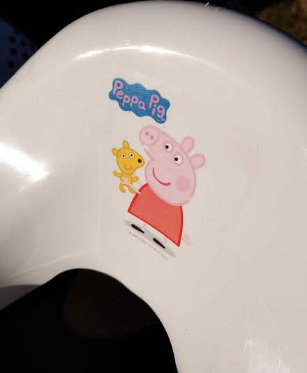 Photo of free Infant toilet seat and potty (Bassetlaw DN22) #3