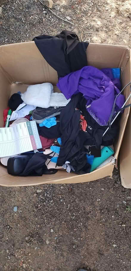 Photo of free More Misc Stuff (Los Gatos) #3