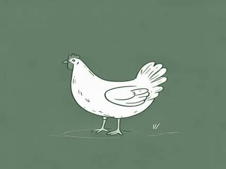 Photo of chicken pen (Handsworth S13) #1