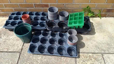 Photo of free Pots and trays for plants (Highcliffe) #1