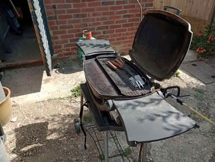 Photo of free Has Barbeque (Hastings TN34) #3