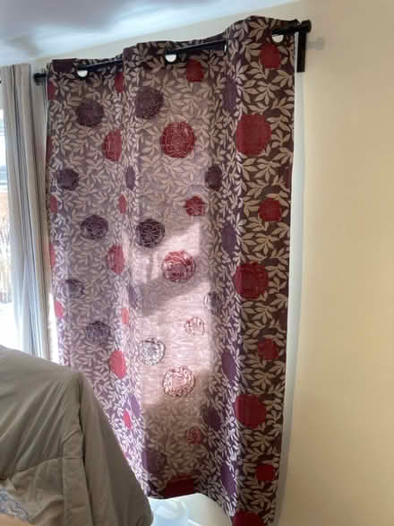 Photo of free Pair of curtains (Filton BS34) #1