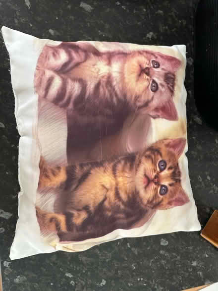 Photo of free Cat cushion (Eccles M30) #1