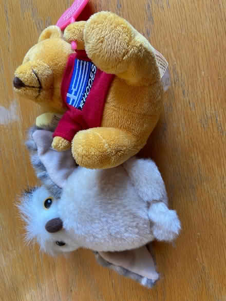 Photo of free Teddy & owl (Stanton Harcourt OX29) #2