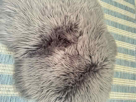 Photo of free Grey faux fur rug (Battersea SW11) #1