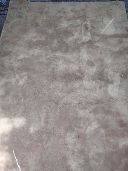 Photo of free Yellow rug (160 x 230cm) (Cranmer Avenue BN3) #2