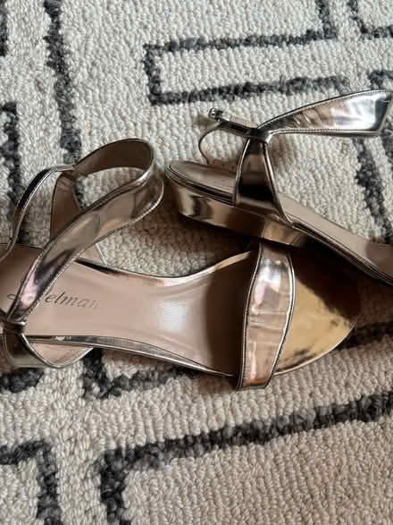 Photo of free Delman Silver Leather Sandals 8 (Rego Park) #2