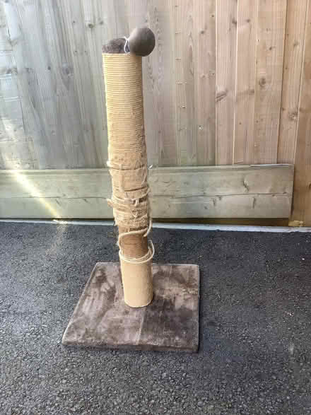 Photo of free Cat Scratching Post (Hampden Park BN22) #2