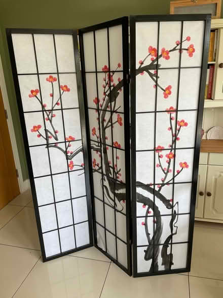 Photo of free Chinese style screen (Bath BA2) #1
