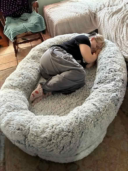 Photo of free Sleep with your dog Bed (Wappingers) #2