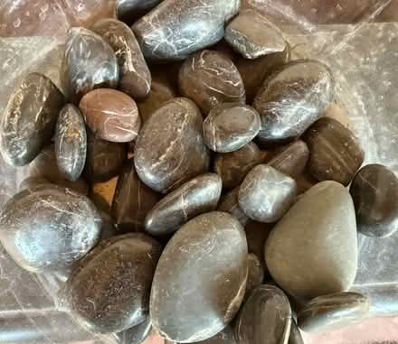 Photo of free Garden River Rocks (Cupertino - DeAnza and 280) #1