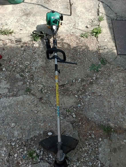 Photo of free Petrol Strimmer (Hastings TN34) #1