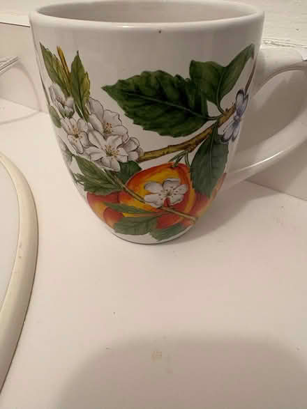 Photo of free 10 oz coffee cup, tea cup (L5L 5P5) #1