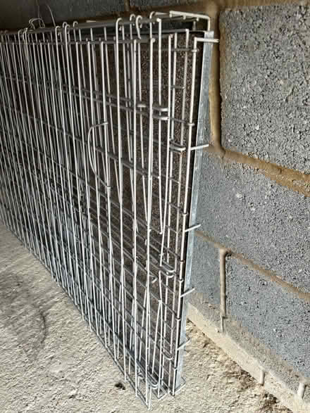Photo of free Large dog crate (Peterborough) #3